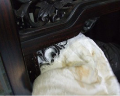 長年の汚れを落としていきます。