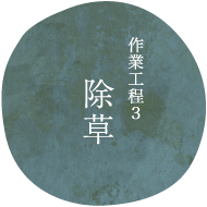作業工程3除草